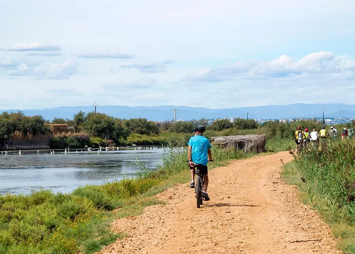 Palmyra Golf & Apart-hotel
