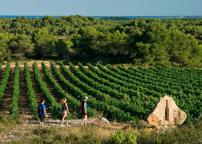 Vacancéole - Résidence Le Palmyra Golf 4* Agde